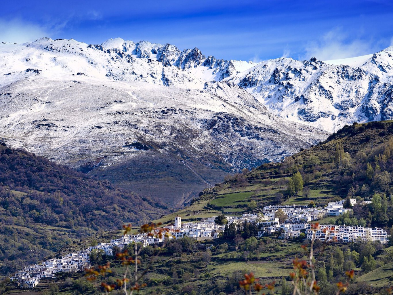 Viaje en BUS a 3 por 0&euro;