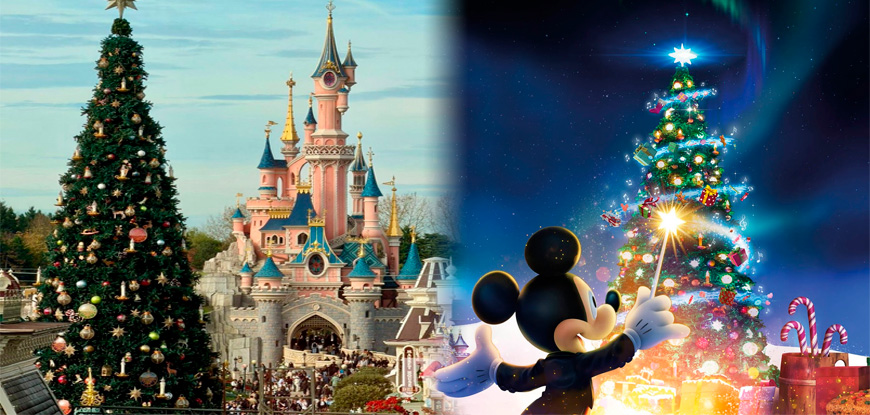 Viaje en BUS a 39 por 0&euro;