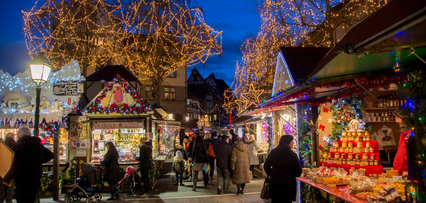 Viaje en BUS a 39 por 0&euro;