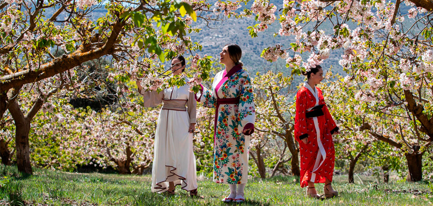 Viaje en BUS a 2 por 0&euro;