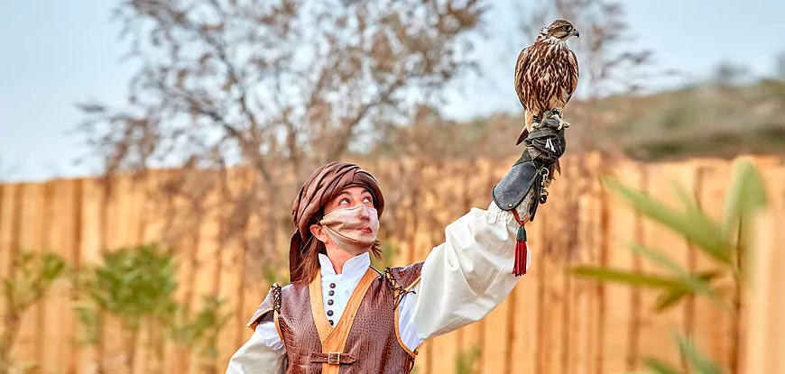 Viaje en BUS a 16 por 20&euro;