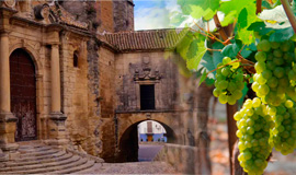 Alhama de Granada Cultura y naturaleza