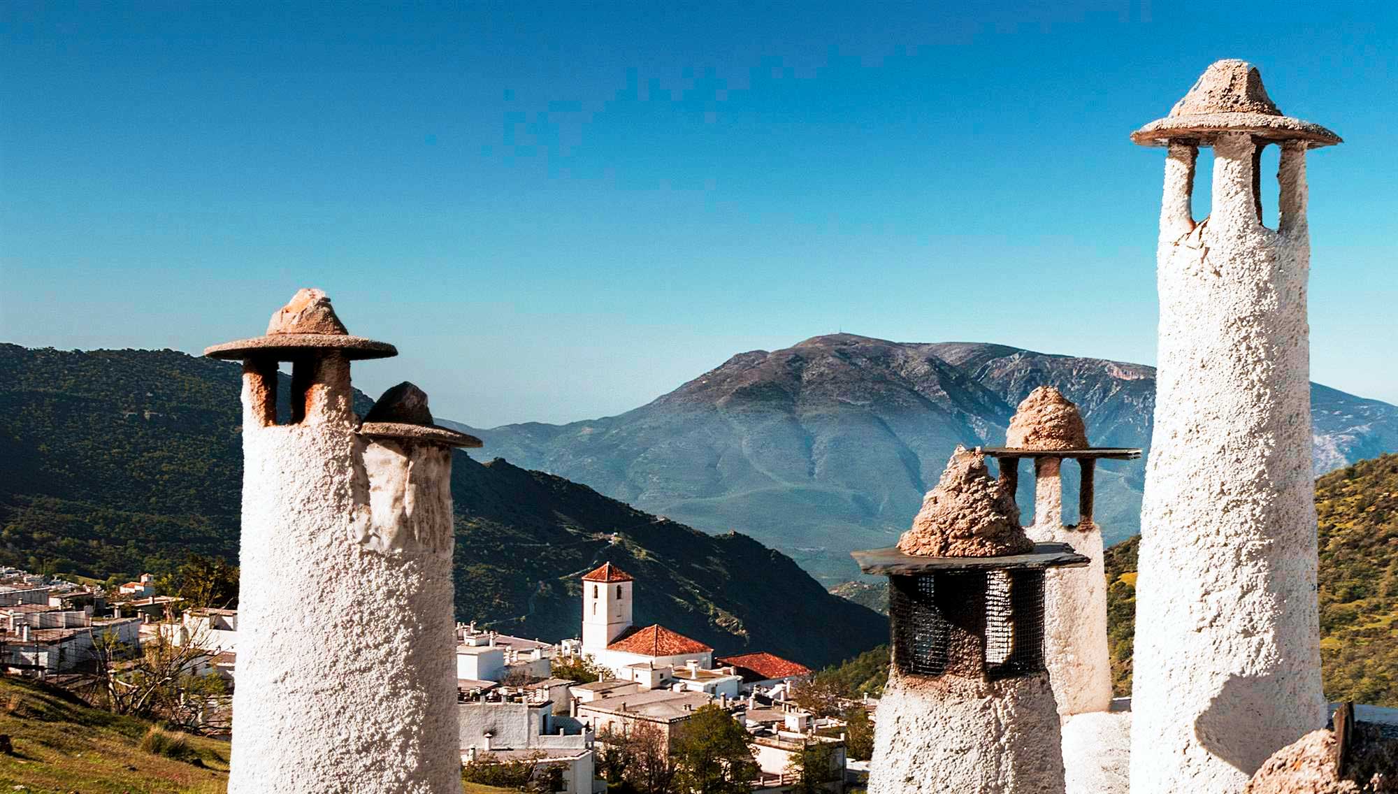 Alpujarra y Costa tropical. Queso curado y aceite